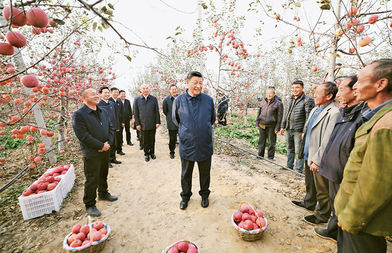 图片5.jpg