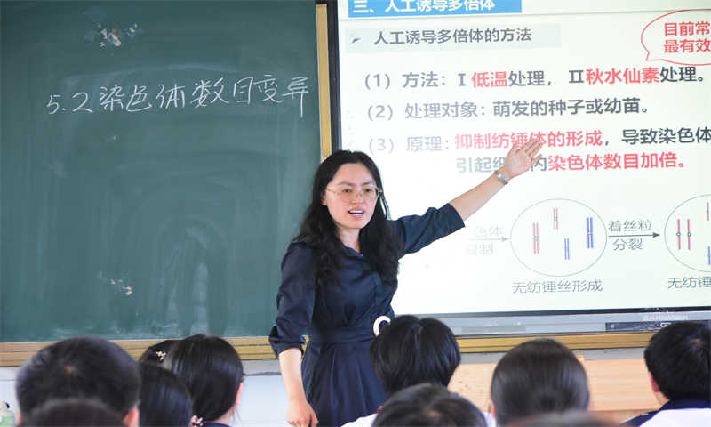 图片29.jpg