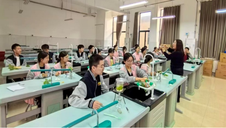 图片2.png
